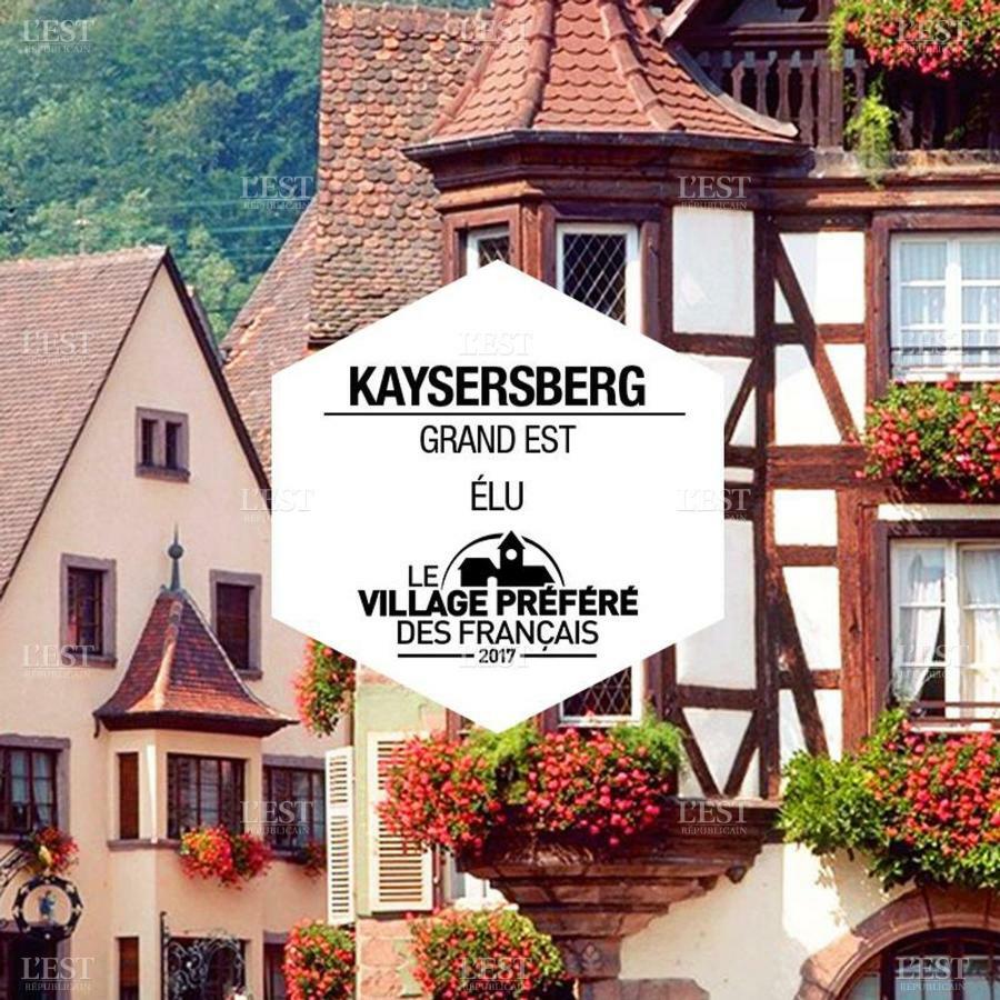 Venez Loger Chez L'Habitant Au Centre De L'Alsace, A Cote D'Europa Park ! Hotel Marckolsheim Exterior photo